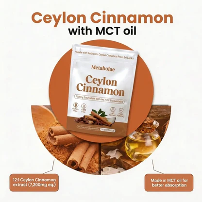 Ceylon Cinnamon 7200mg Equivalent with MCT Oil