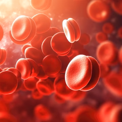 Blood Sugar Support